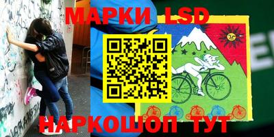 МДПВ Гусев