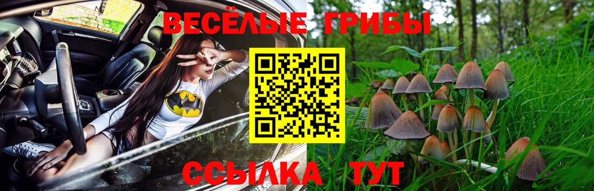 Мурино  продажа наркотиков  Вход с VPN  Галлюциногенные грибы Psilocybe 