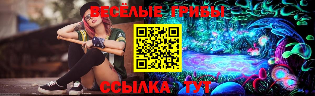 Псилоцибиновые грибы Cubensis Мурино